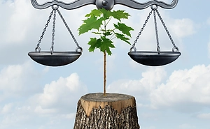 NJDEP First State to Publish Highly Anticipated Environmental Justice Proposed Rules